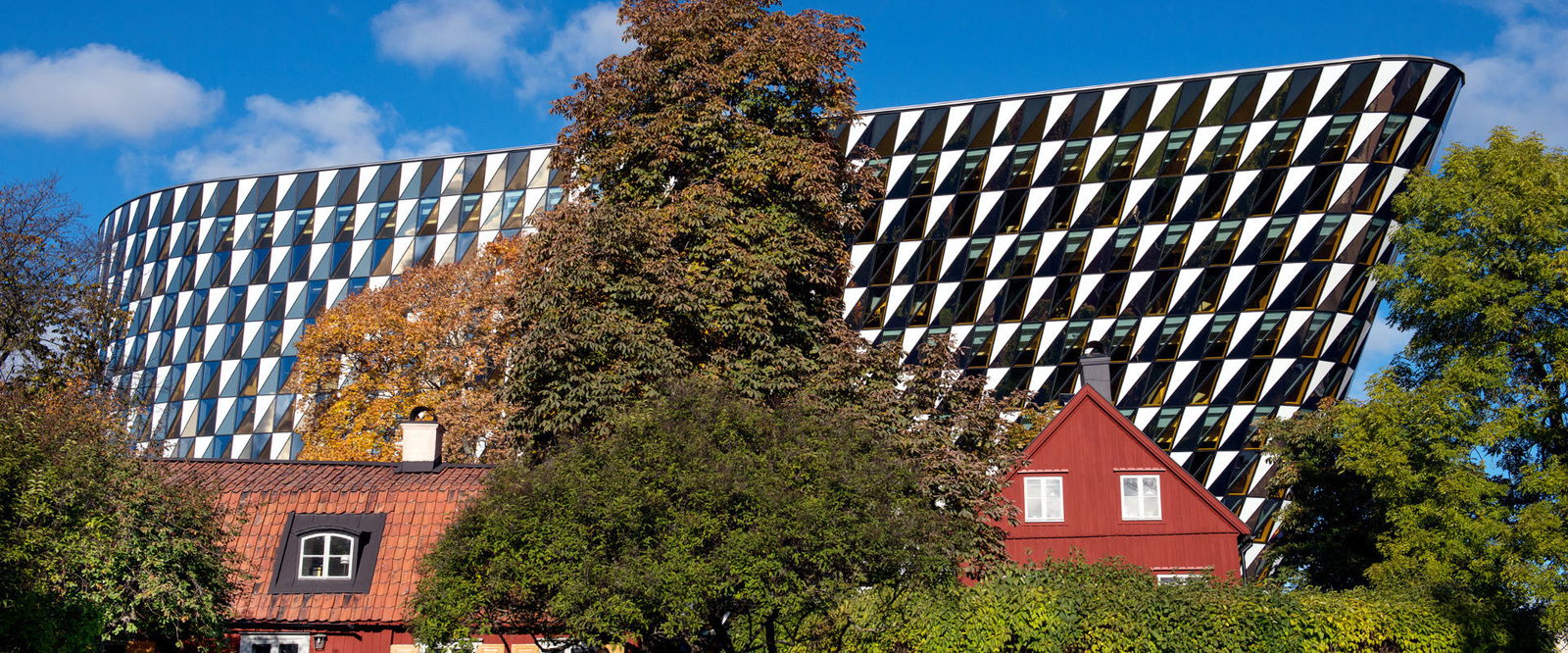 study medicine abroad