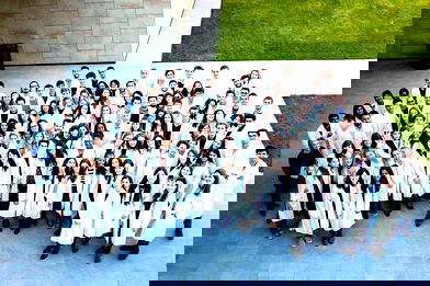 Image for The Ultimate Guide to Study MBBS in Italy