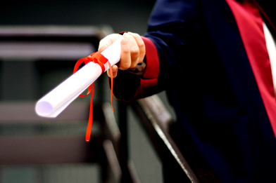 Image for Double Degrees: Your Path to a Dual Education