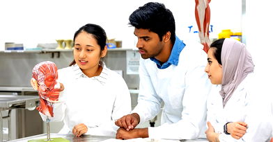 Image for Cheapest MBBS Programs in the World 2026
