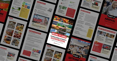 Image for Moving to China: International Student's Guidebook (Get Your Free Copy!)