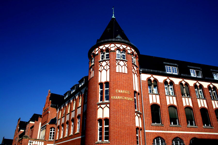 study medicine europe