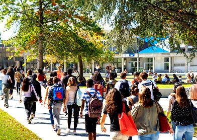 Image for Study in France: The Ultimate Guide for International Students