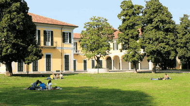 Image for Top Programs to Study at LIUC, The Business University in 2026