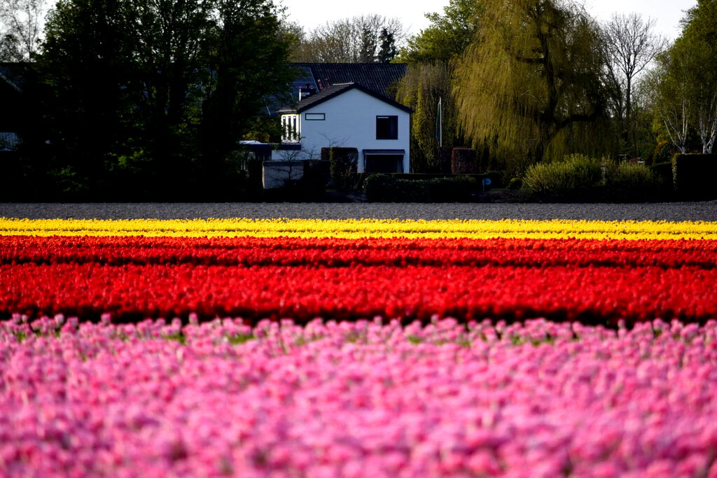 Keukenhof, Stationsweg, Lisse, Netherlands