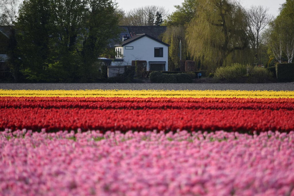 Keukenhof, Stationsweg, Lisse, Netherlands