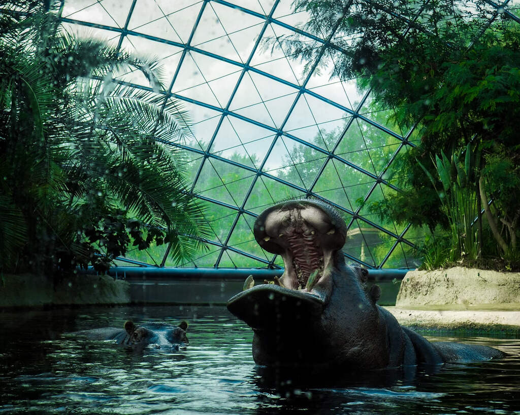 Zoologischer Garten, Hardenbergplatz, Berlin, Germany