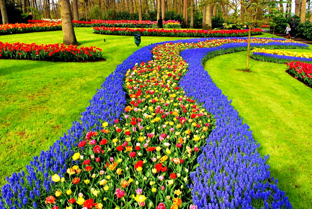 Keukenhof, Lisse, Netherlands