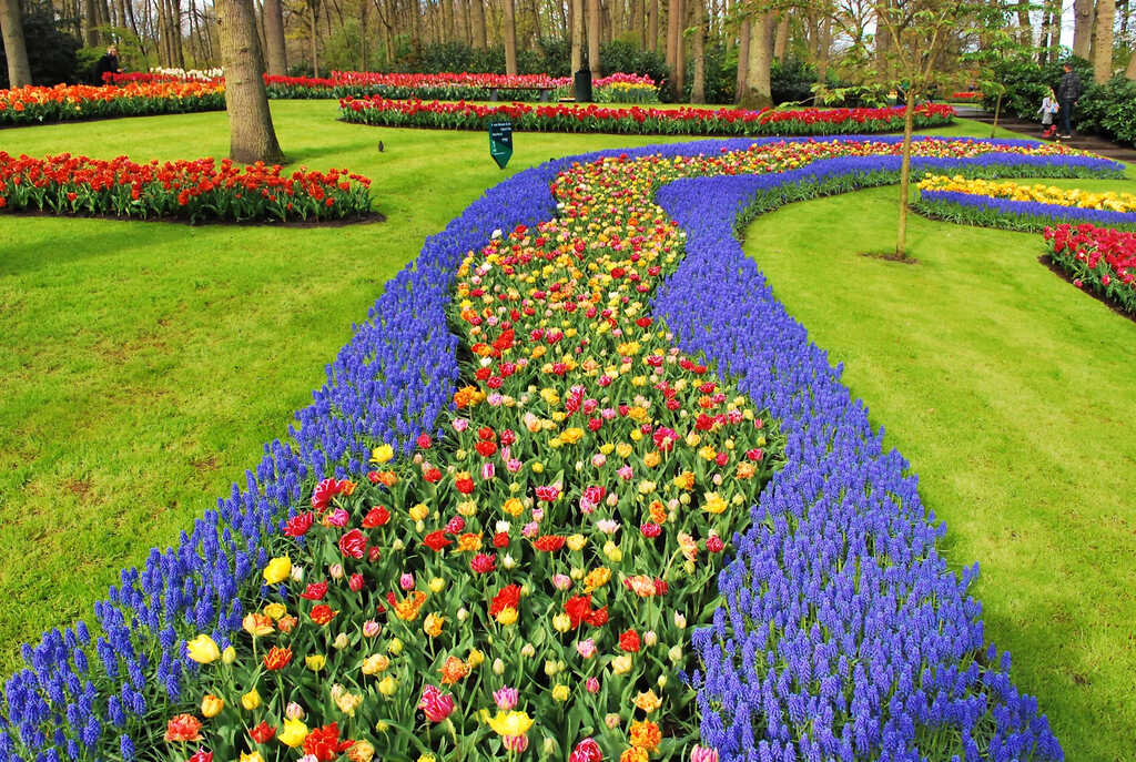 Keukenhof, Lisse, Netherlands