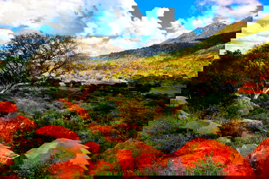 Image for 30 Fun Facts about Kenya