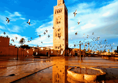 Image for 30 Fun Facts about Morocco You (Probably) Didn't Know