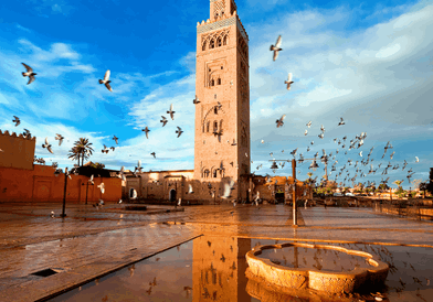 Image for 30 Fun Facts about Morocco You (Probably) Didn't Know
