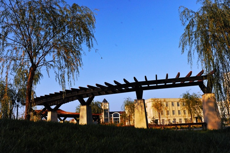 University gallery image