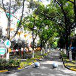 University gallery image