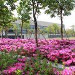 University gallery image