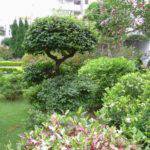 University gallery image