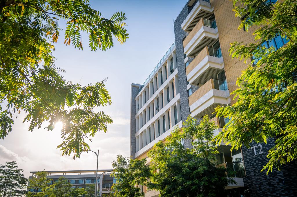 University gallery image