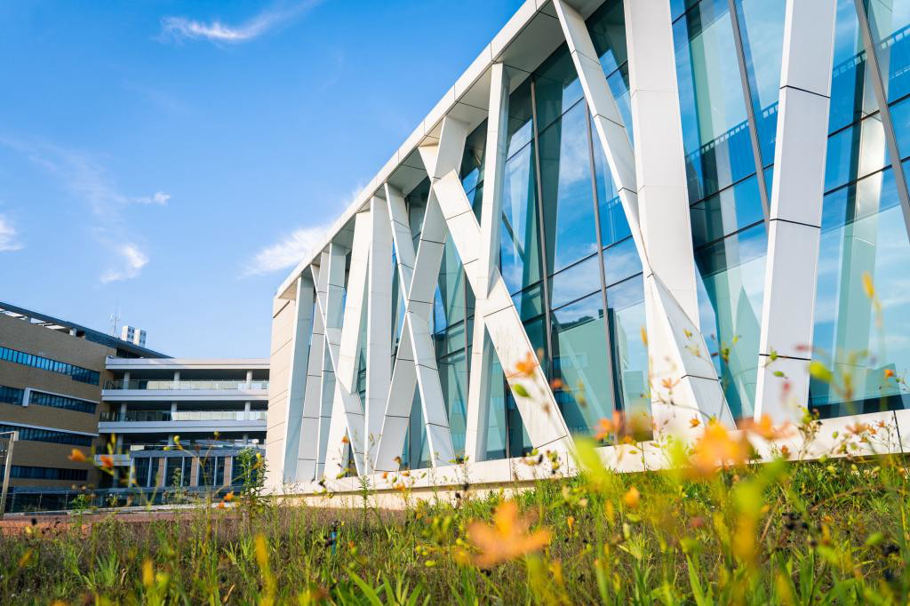 University gallery image