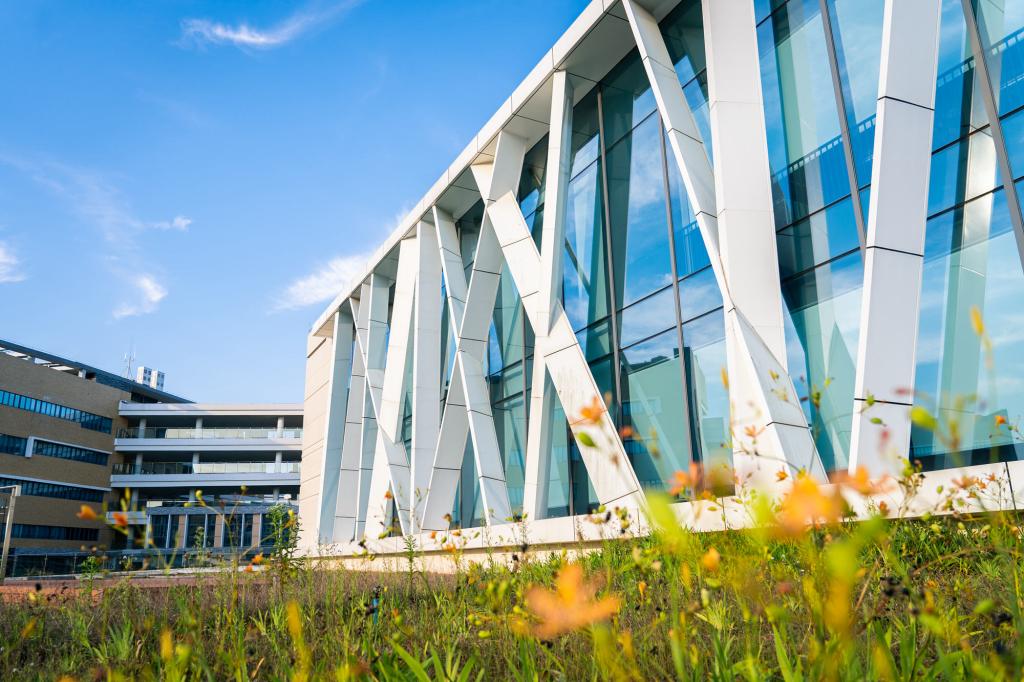 University gallery image