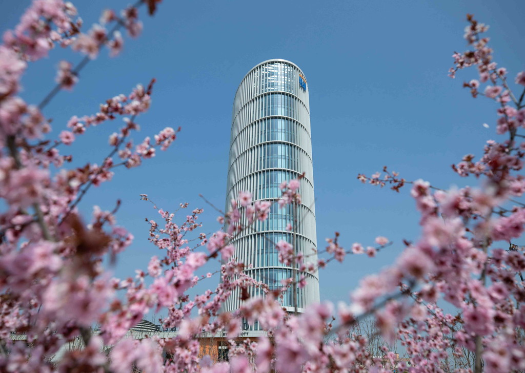 University gallery image