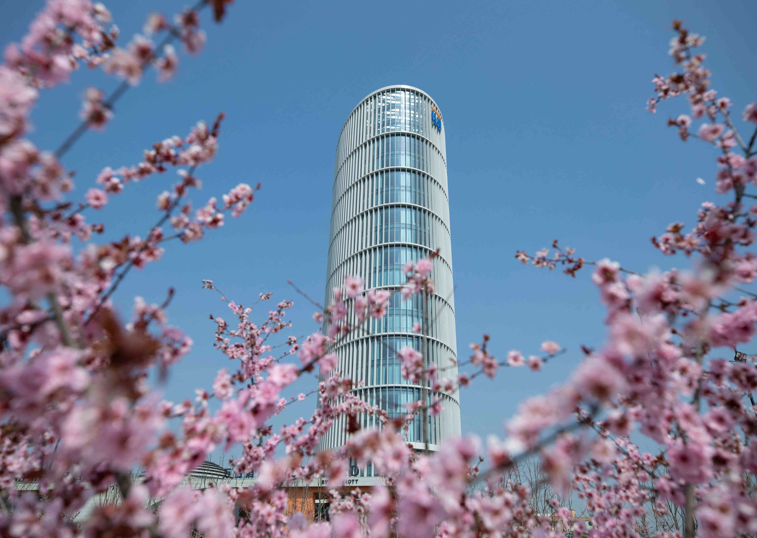 University gallery image