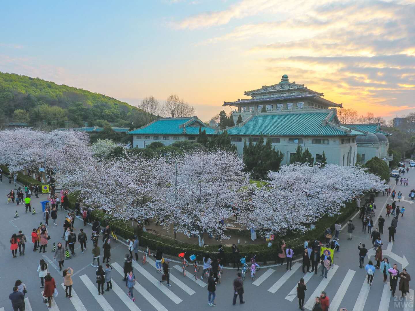 University gallery image