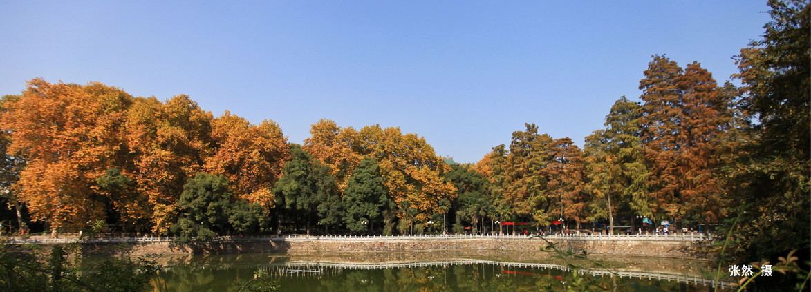 University gallery image