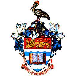 The UWI China Institute of Information Technology (UWI-CIIT)
