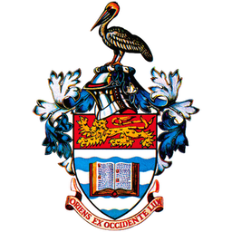 The UWI China Institute of Information Technology (UWI-CIIT)