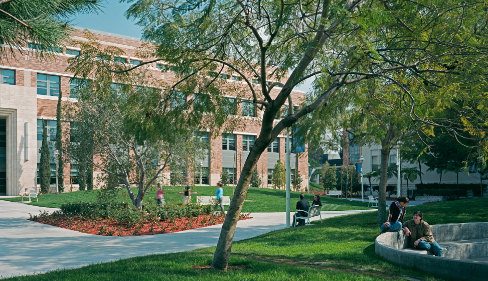 Bachelor's in Computer Science at Chapman University Global Admissions