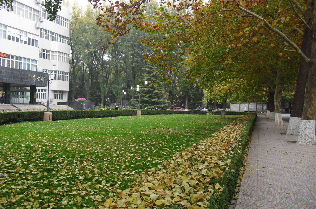 University gallery image