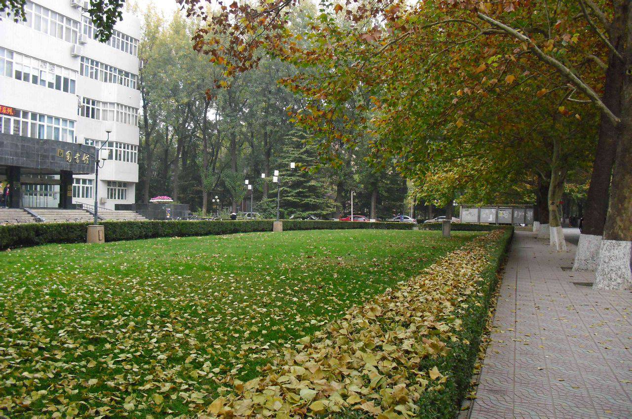 University gallery image