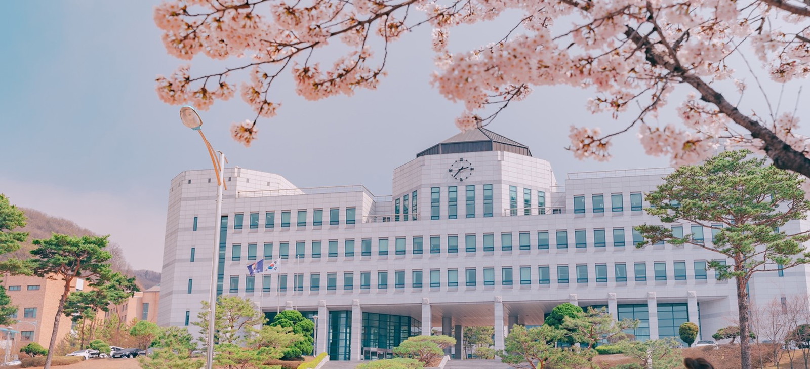 Dankook University, Seoul International Admissions | Global Admissions