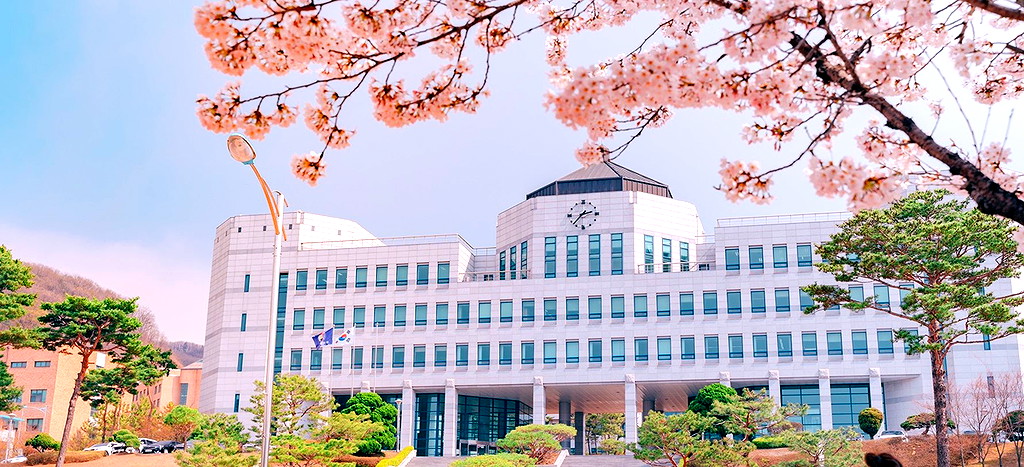 Dankook University, Seoul International Admissions | Global Admissions