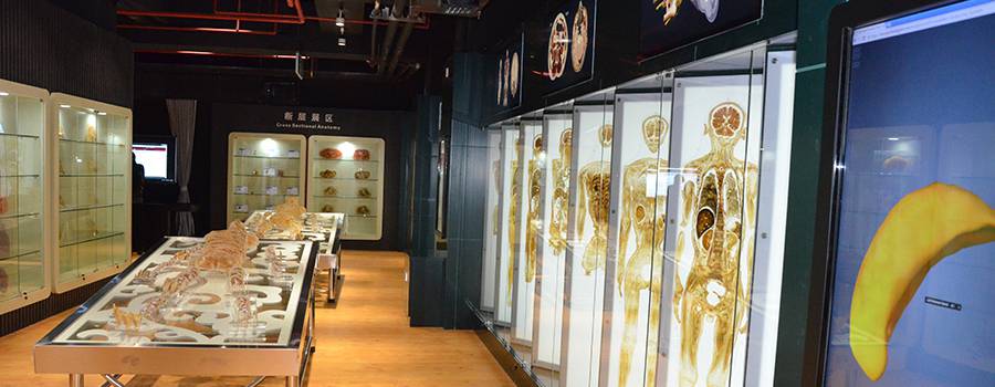 University gallery image