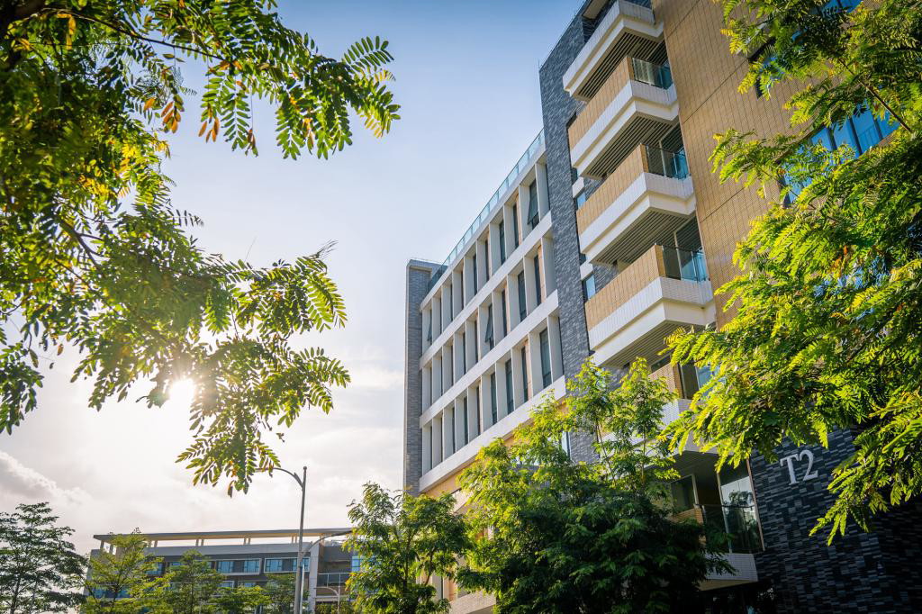 University gallery image