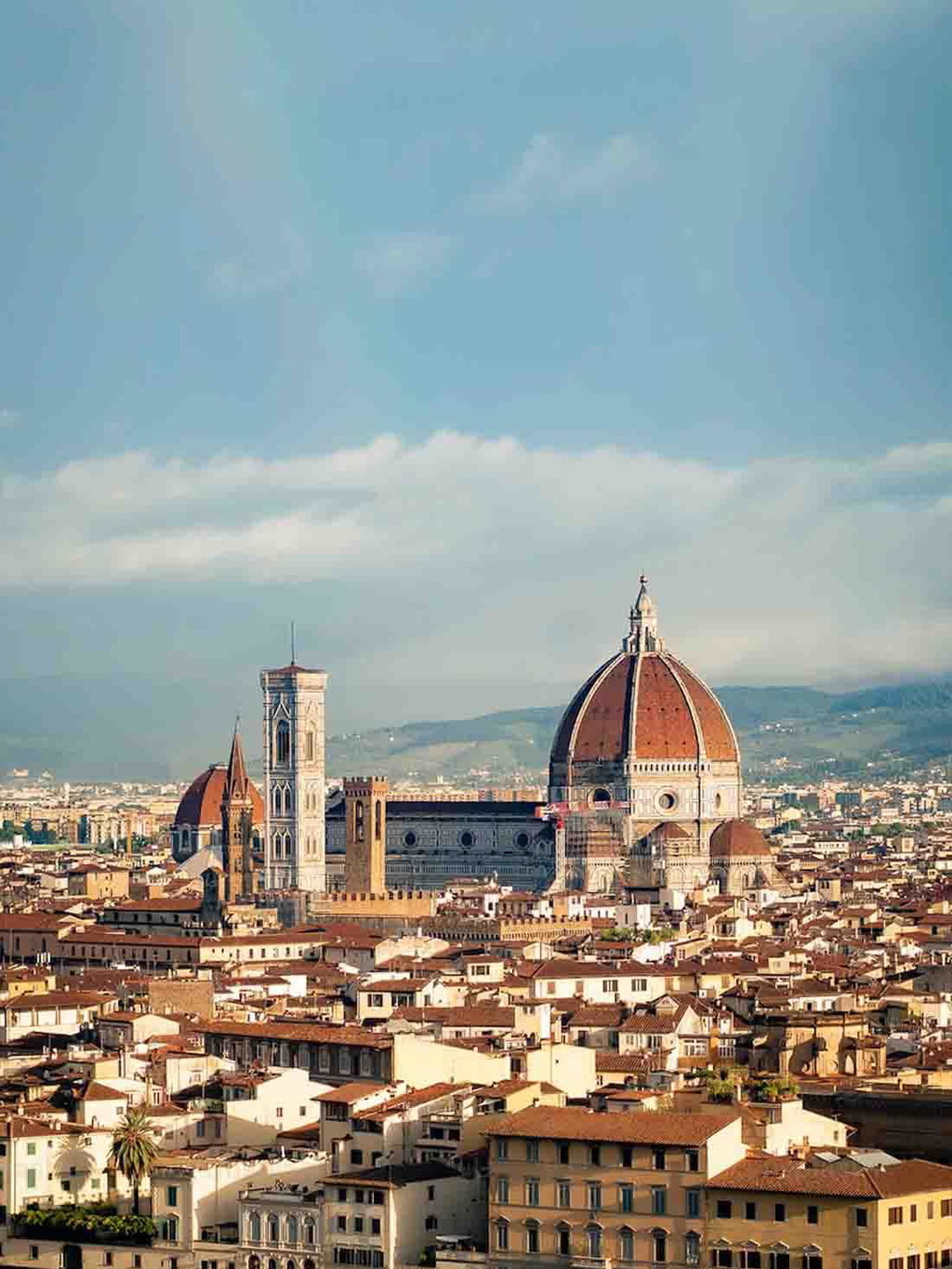 University gallery image