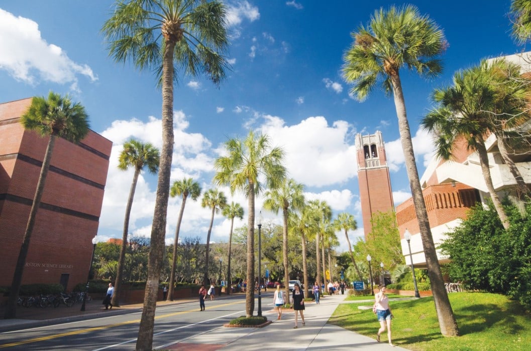Bachelor's in Philosophy at University of Florida Global Admissions